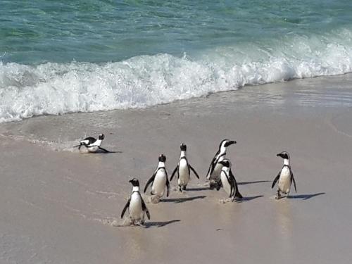 7 on Disa Self-catering Accommodation 7 on Disa Self-catering Accommodation