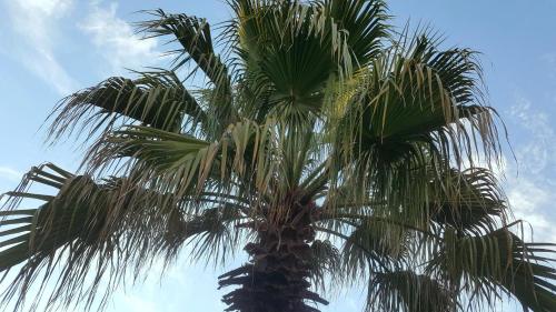 7 on Disa Self-catering Accommodation 7 on Disa Self-catering Accommodation