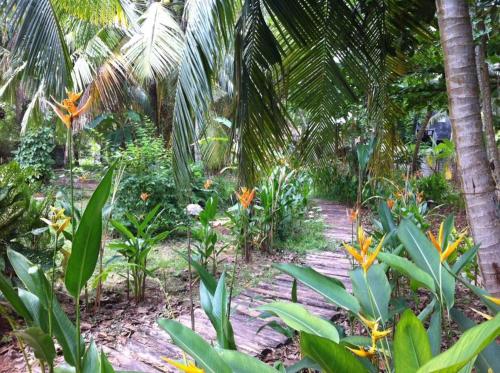 Jungle Vibes