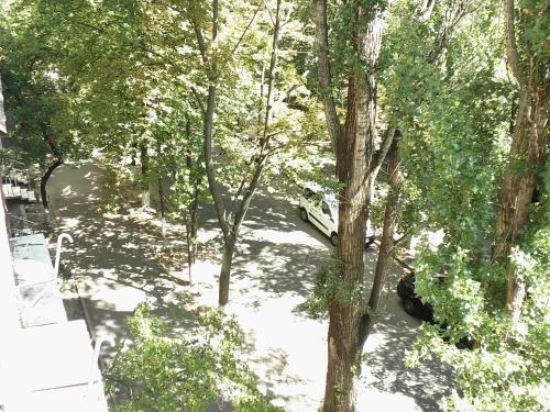 Apartment on Nimanska 5 - image 5