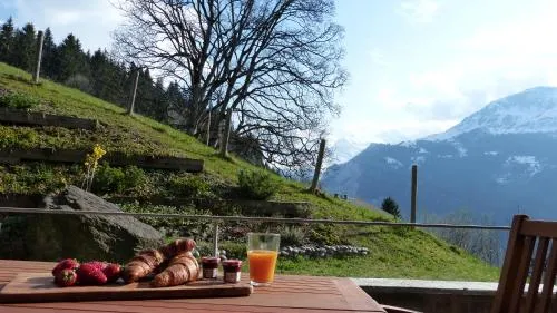 Roossi-Huus 2 in Wengen, Schweiz