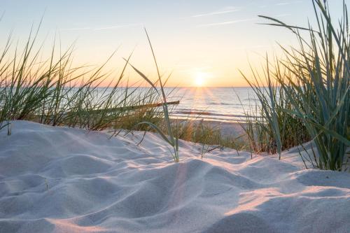 Pura Vida Hotel Cuxhaven – Cuxhaven, NC