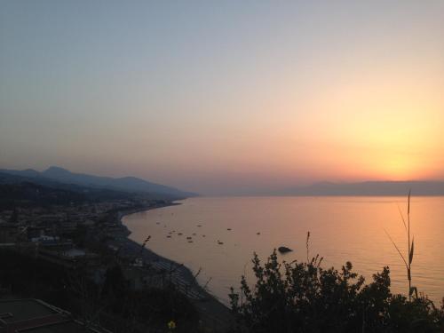 Colapesce - image 4