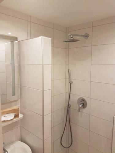Hotel Schweizer Stubb - image 8