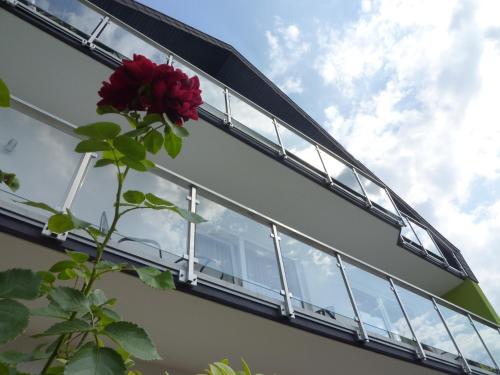 外部景觀, 代德斯海姆酒店 (Gastehaus Deidesheim) in 戴德斯海姆