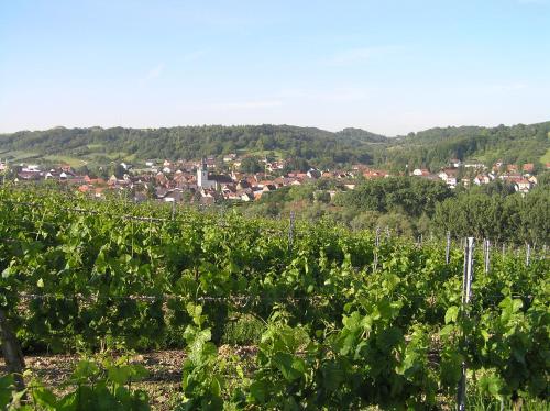 Ferienwohnung Am Alten Berg