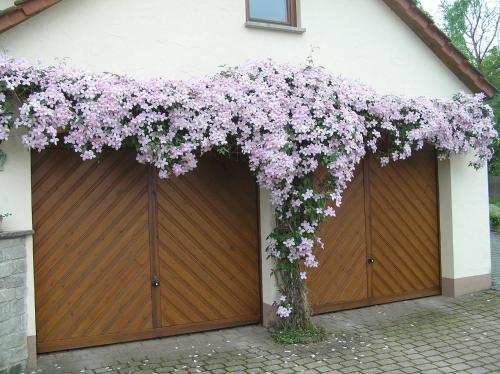 Ferienwohnung Am Alten Berg - main image