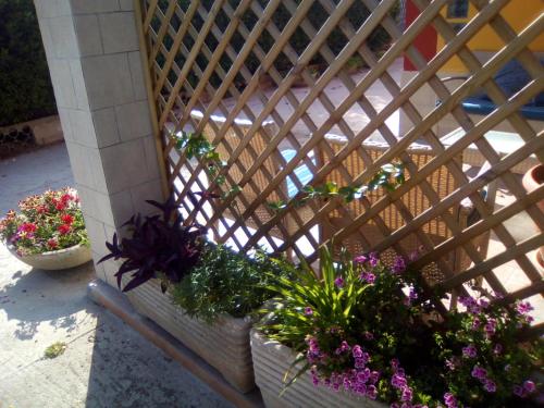 Casa te la Bradamante