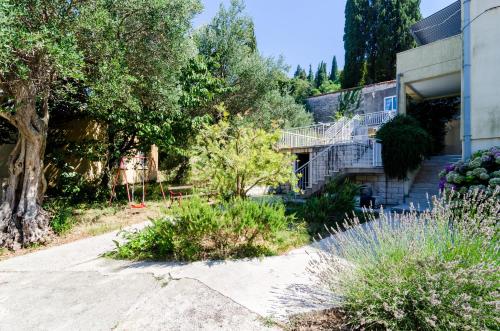 ABC Lapad Apartments - image 3