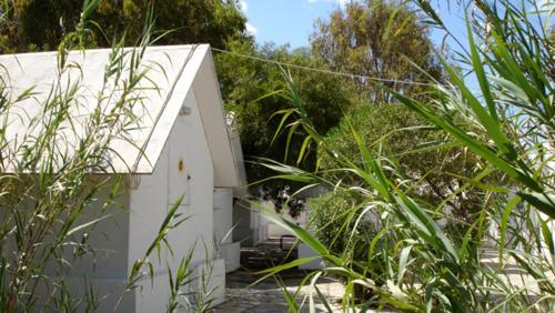 Surfing Beach Huts