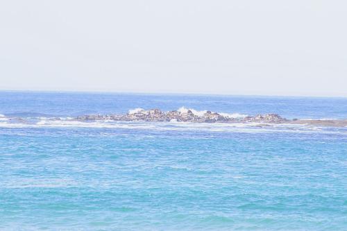 ريفيل بووت هاوزيز