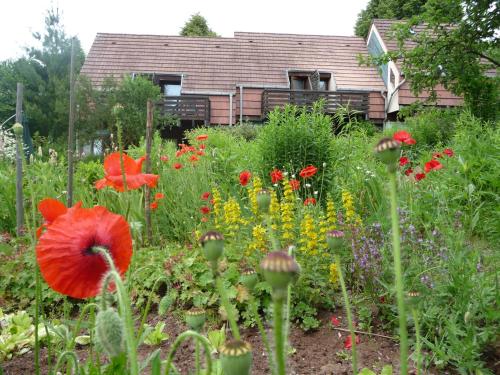 Alsace Village