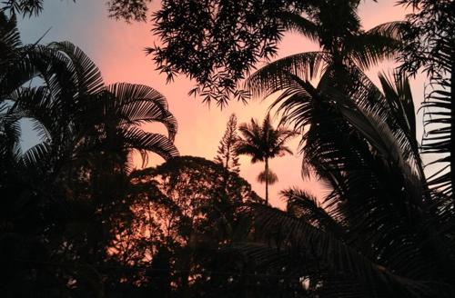 Enchanted Gardens