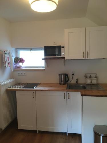 House Apartmentshumpolec + Garden - image 9