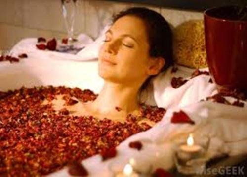 

Oasey Ayurveda Hotel