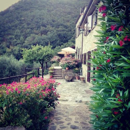 Farmhouse B&B Castagnola 64 - Accommodation - Ne