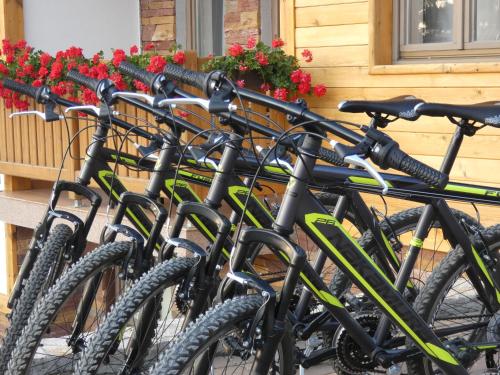 Villa Natural Wood - image 4