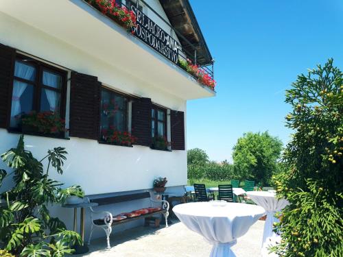 Bed & Breakfast Ana in Kopacevo