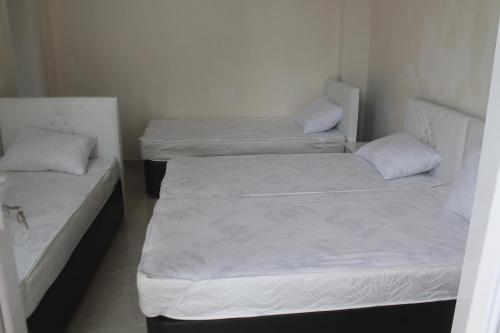 Rudi Guest House