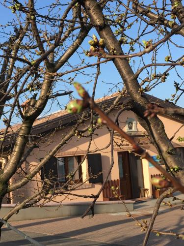 La Corte D'Emilio B&B - image 10