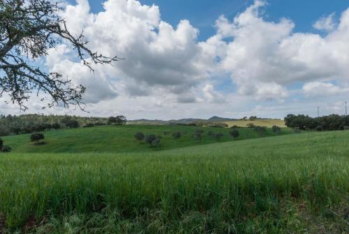 Monte Pedras Negras - image 7