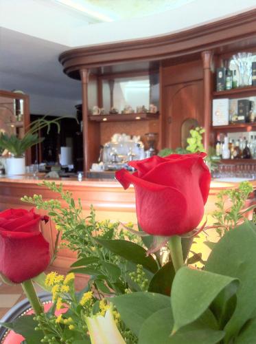 Hotel Lo Scudiero - image 12