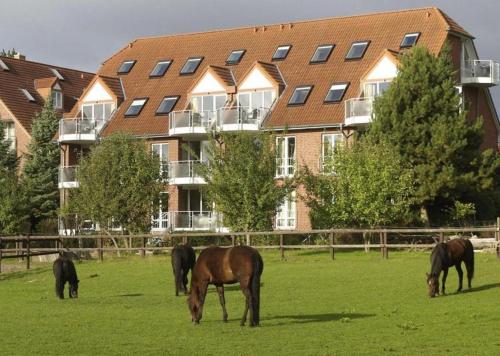 Appartement mit Blick in die Natur - Mowennest 24