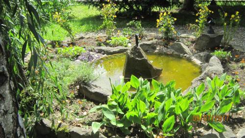 Villa Vitalis