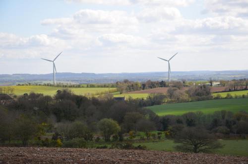 สภาพแวดล้อมโดยรอบ, Kerollivier in โปลเคร็ก ซูร์ อูเฌอนง