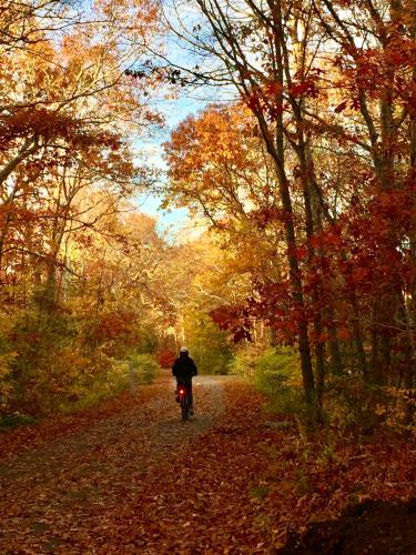 Frederick William House - main image