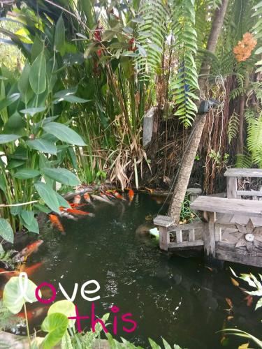 Q Zone Boutique Resort16