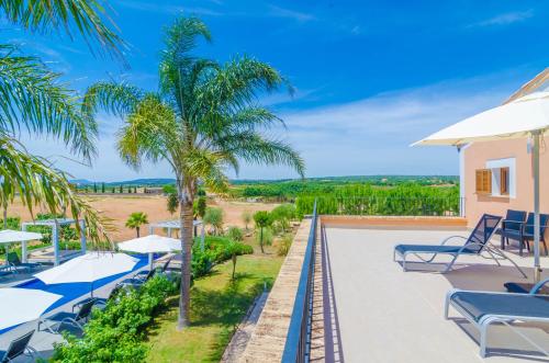 Finca Short De Conies 2 - image 8