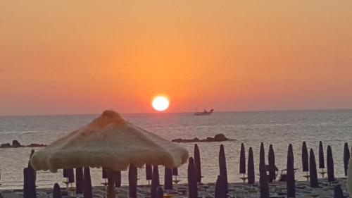 King Apartment - image 11