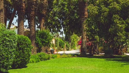 106216670 Dimora Caiammari Luxury Hotel & Spa