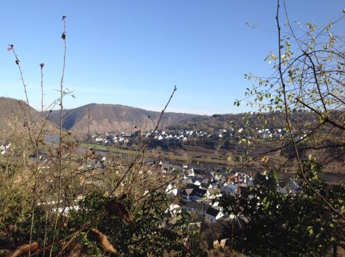 Kilátás, Bauernstube Scheidterhof in Kobern-Gondorf