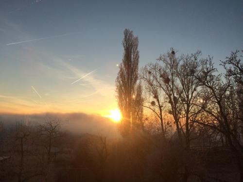 Létesítmények, Bauernstube Scheidterhof in Kobern-Gondorf
