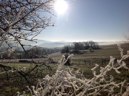 A környék, Bauernstube Scheidterhof in Kobern-Gondorf