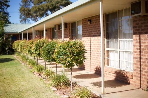 Kert, Balranald Colony Inn Motel in Balranald