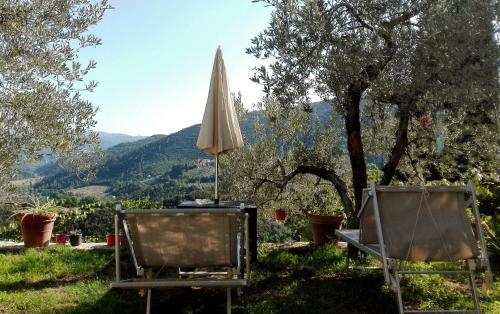 Úszómedence, Guesthouse Runcini in Ferentillo