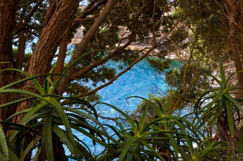 Aldeia da Fonte Hotel - image 4