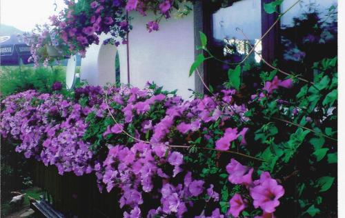 Haus Alex - image 10