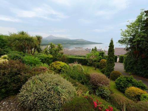 Belvedere - image 13