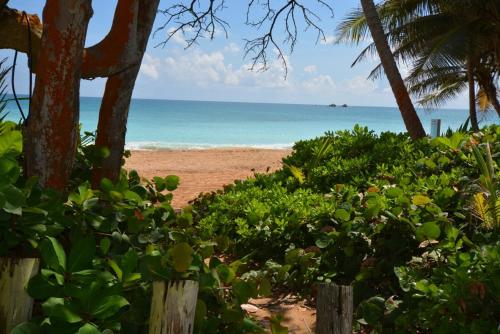 Crescent Cove 87 at Palmas in Humacao