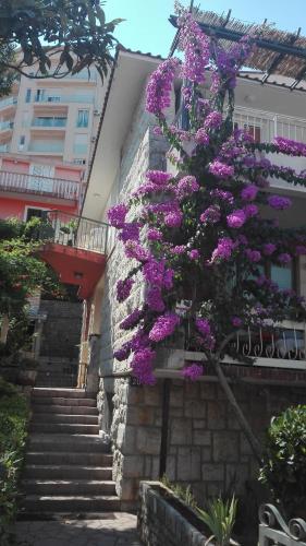 Apartments Palunko - image 5