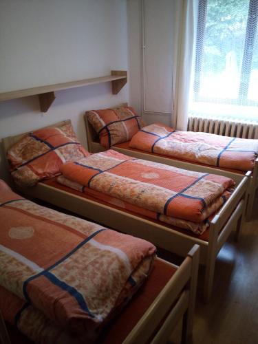 U Janečků - image 6
