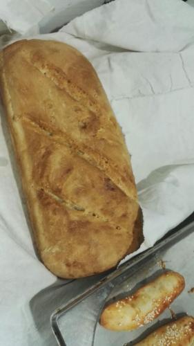 Lugarnica 5
