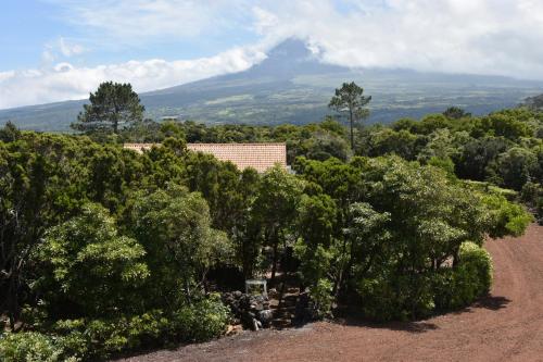 สภาพแวดล้อมโดยรอบ, Adega Mourato in บันเดรัส