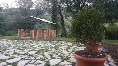 Dil-Man Country House - image 7