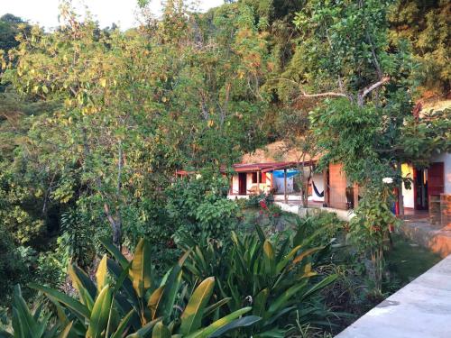 Skats, Finca San Rafael - Cafe y Cacao in Minca