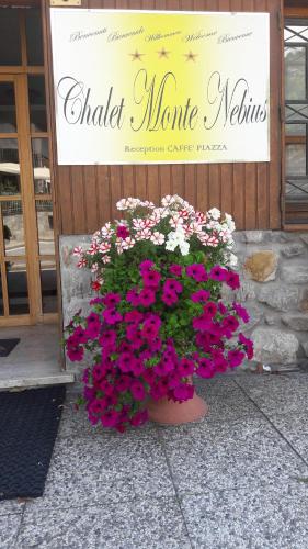 Chalet Monte Nebius - Hotel - Vinadio